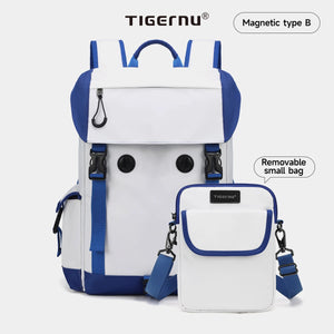 TIGERNU B9909 Detachable Waterproof Crossbody and Messenger Bag