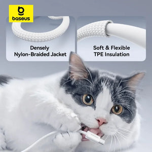 BASEUS Dynamic 4 Series 100W USB-C to USB-C Fast Charging Cable