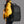 Black travel backpack worn on back with front zip pocket and adjustable straps