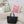 TIGERNU S8838 Lightweight Waterproof Tote Bag