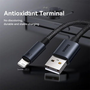 BASEUS Minimalist Series 2.4A USB-A to Lightning Fast Charging Cable