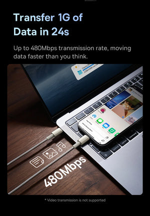 BASEUS Tungsten Gold 100W USB-C to USB-C Fast Charging Cable