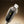 BASEUS Vipow Series 20W USB-C to Lighting Fast Charging Cable